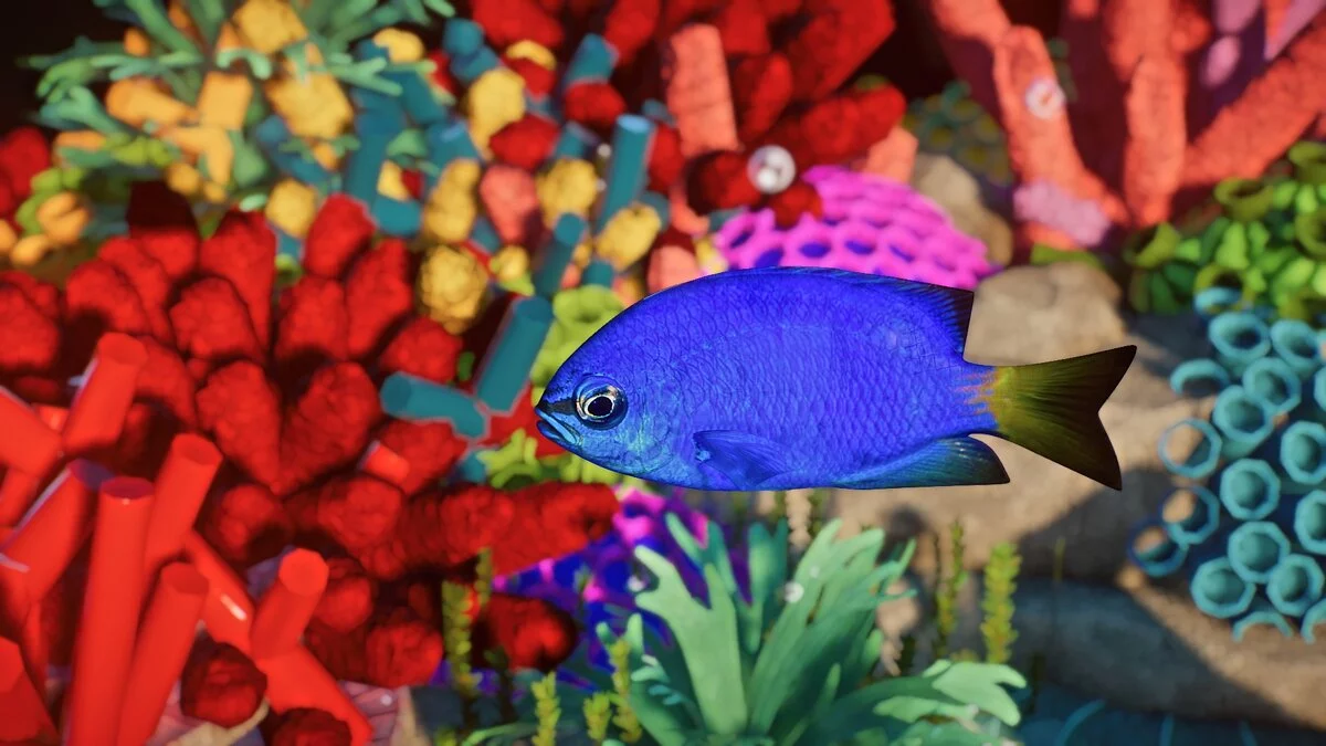 Planet Zoo — Maidenfish - new species