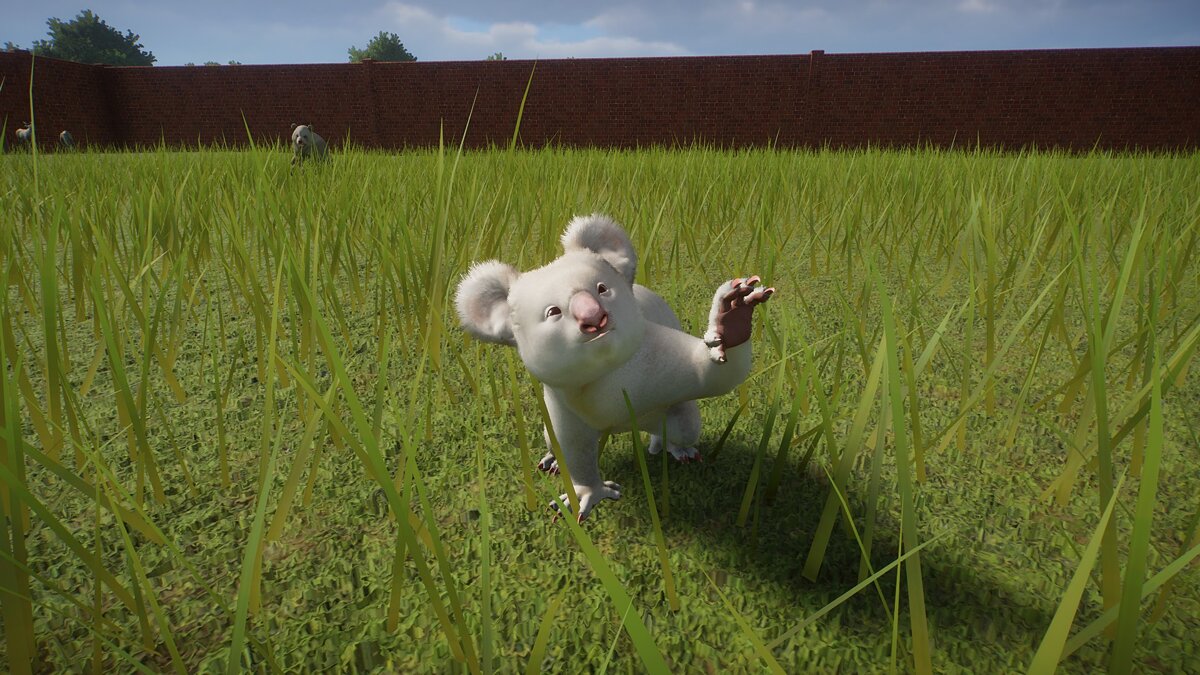 Planet Zoo — Improved Albino Koalas