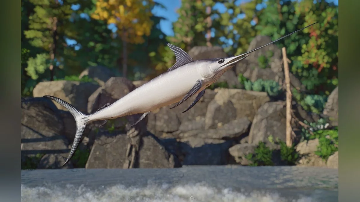 Planet Zoo — Atlantic swordfish - new species