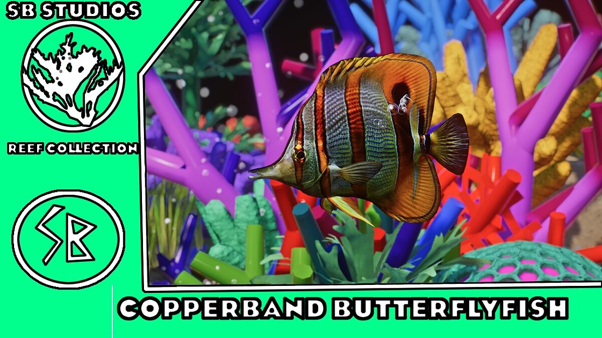 Planet Zoo — Butterfly fish - new species