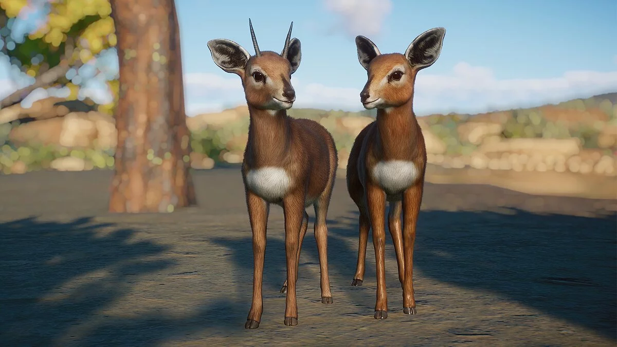 Planet Zoo — Stenbock - nova vrsta