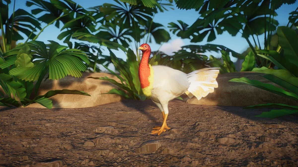 Planet Zoo — Австралійська чагарникова індичка – нові види