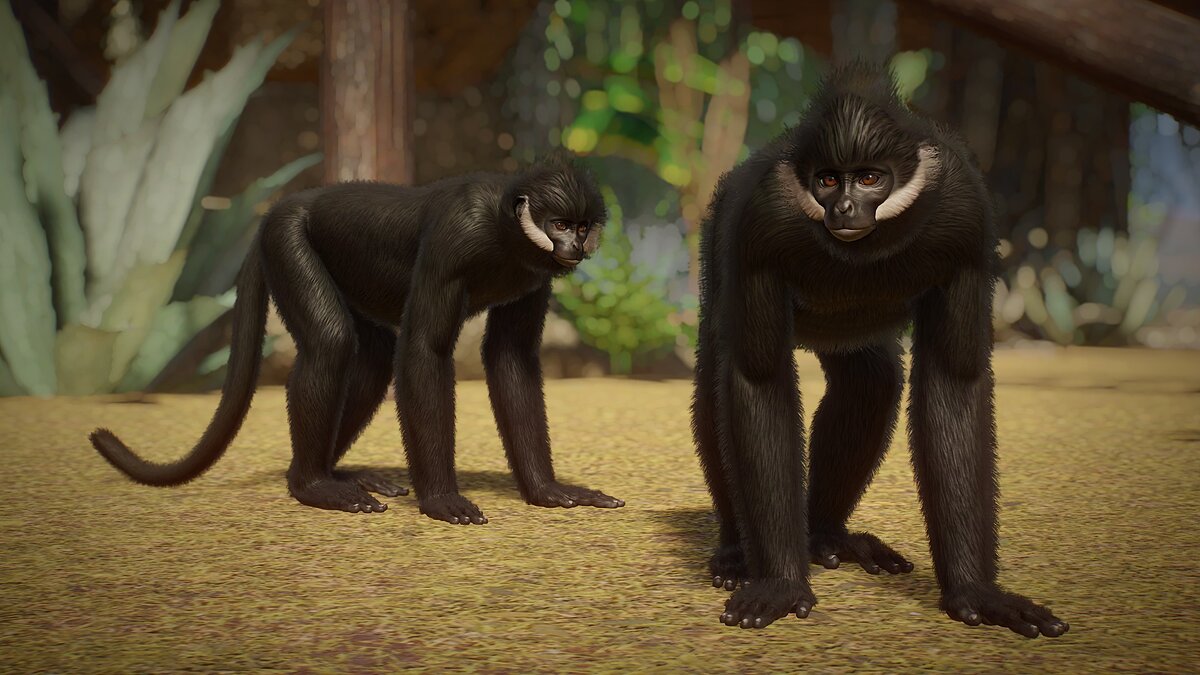 Planet Zoo — Francois Langur - new species