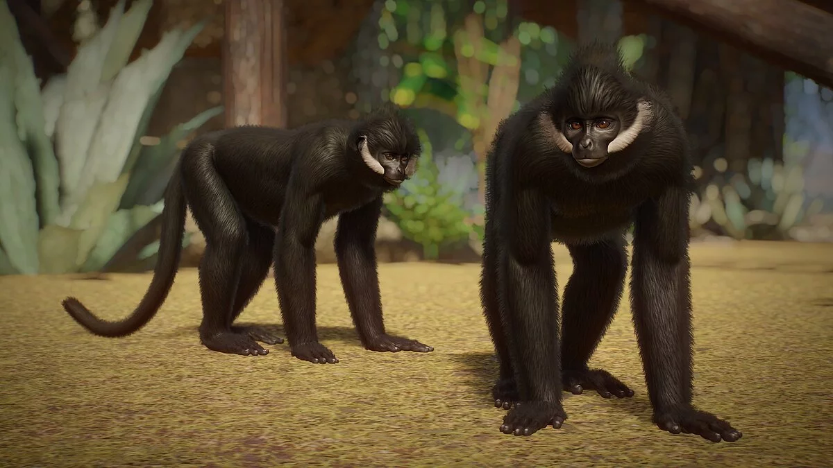 Planet Zoo — Francois Langur - nueva especie