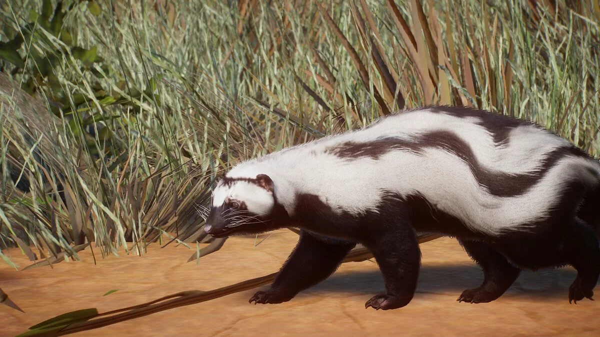 Planet Zoo — Zorilla - a new species