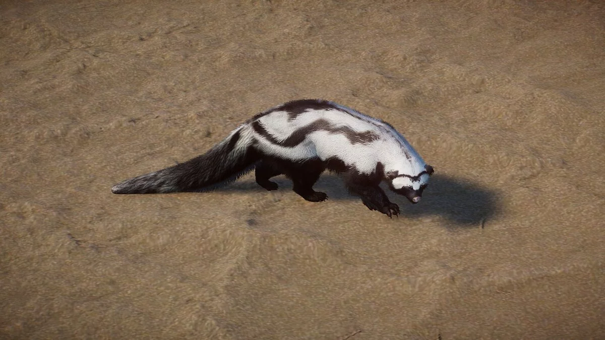 Planet Zoo — Зорилла - новый вид