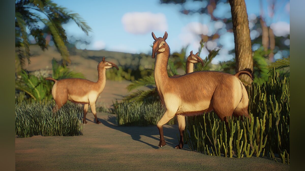 Planet Zoo — Macrauchenia - a new species