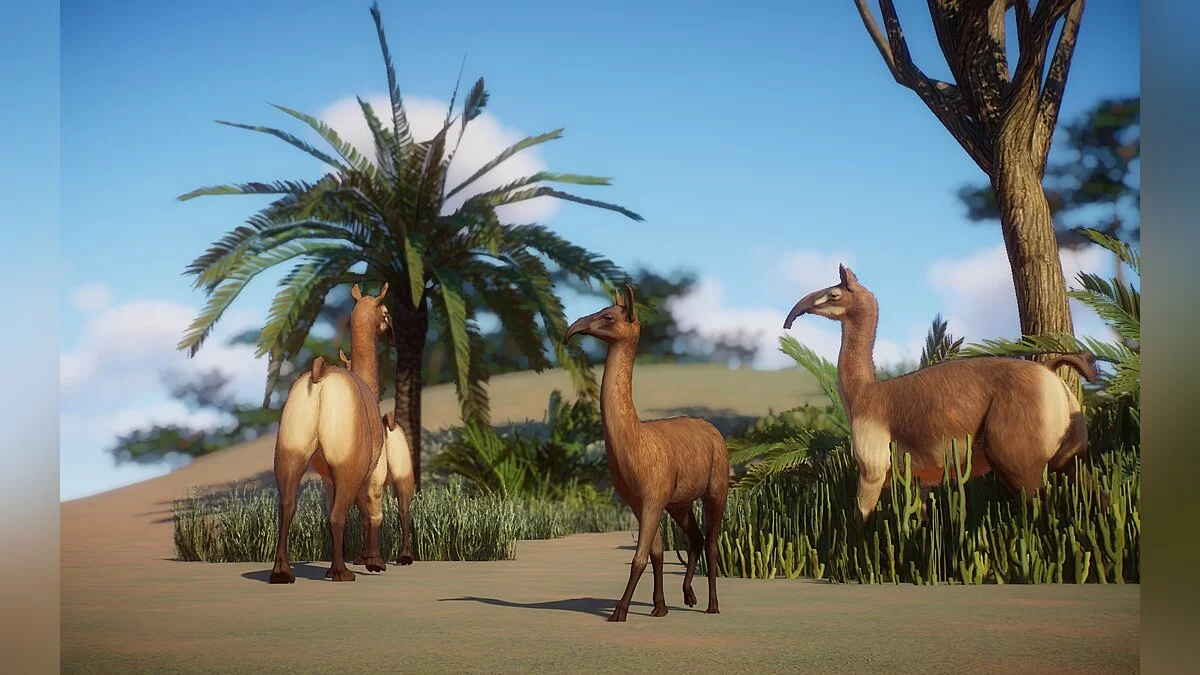 Planet Zoo — Макраухении - новый вид