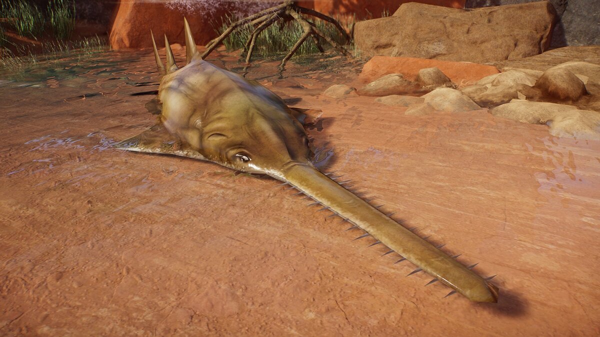 Planet Zoo — Largetooth sawfish - new species