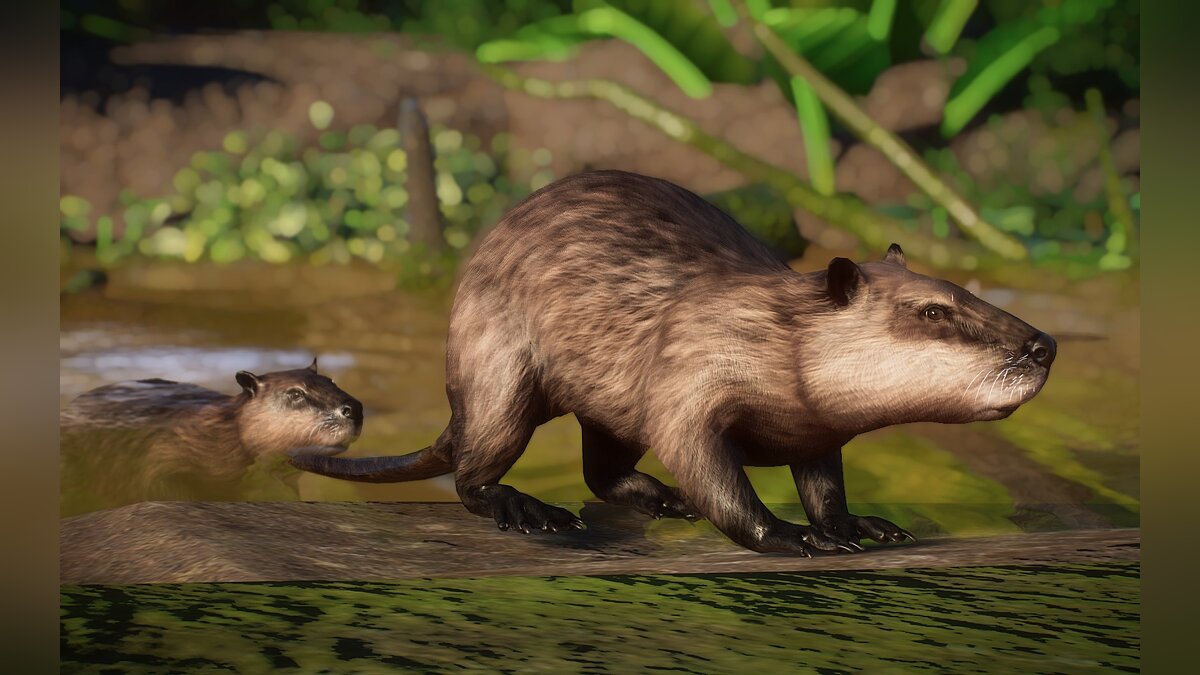 Planet Zoo — New species - nutria