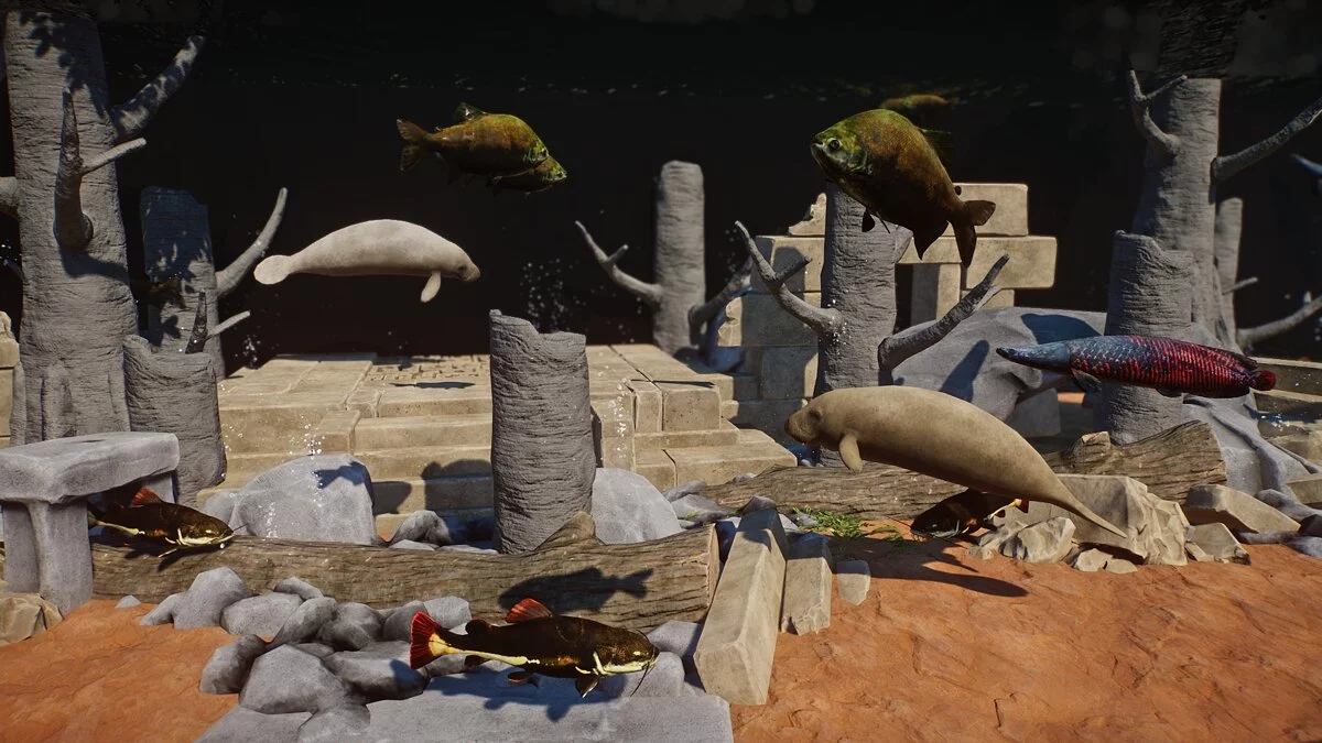 Planet Zoo — Нові види – червонохвостий сом