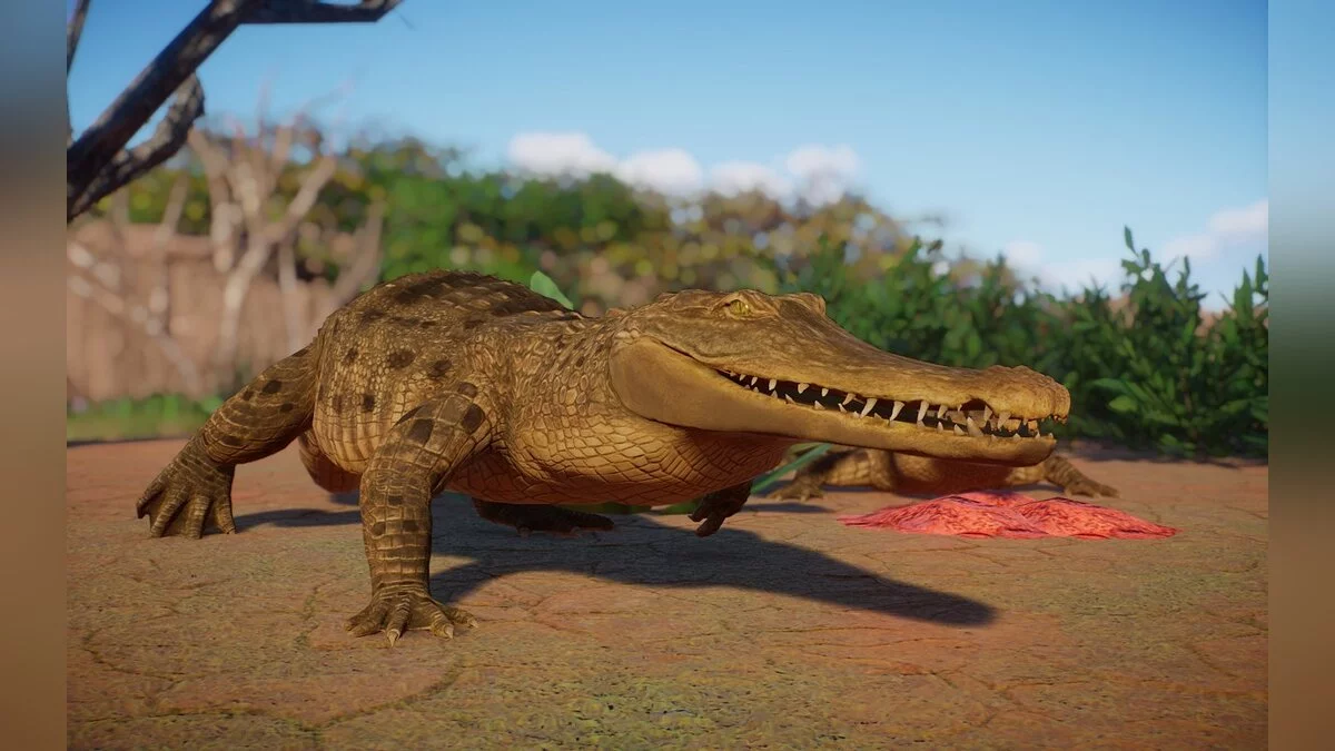 Planet Zoo — New species - freshwater crocodile