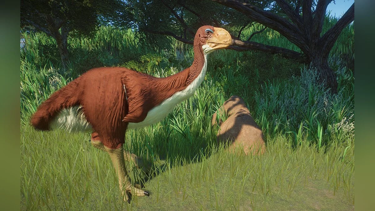 Planet Zoo — New species - Gastornis