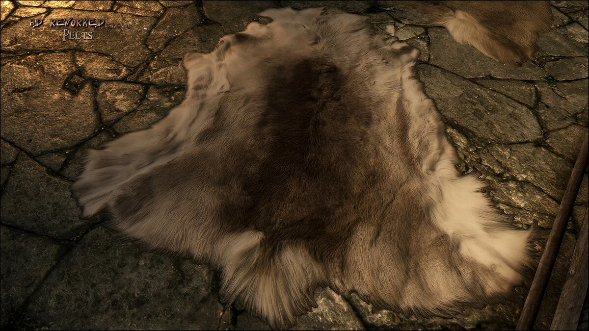 Elder Scrolls 5: Skyrim Special Edition — HD шкуры