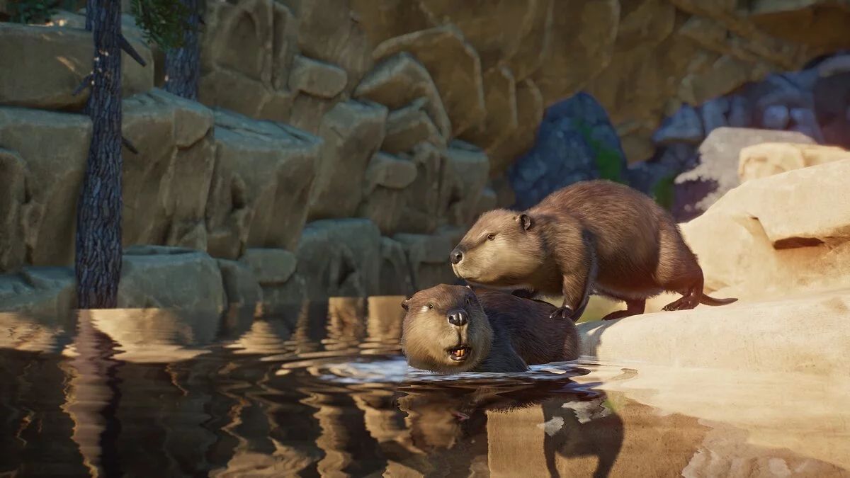 Planet Zoo — Giant beaver - new species