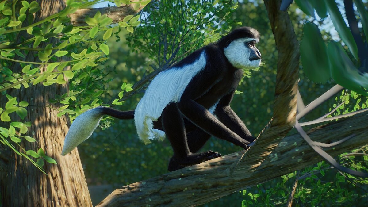 Planet Zoo — Eastern black-and-white colobus - new species