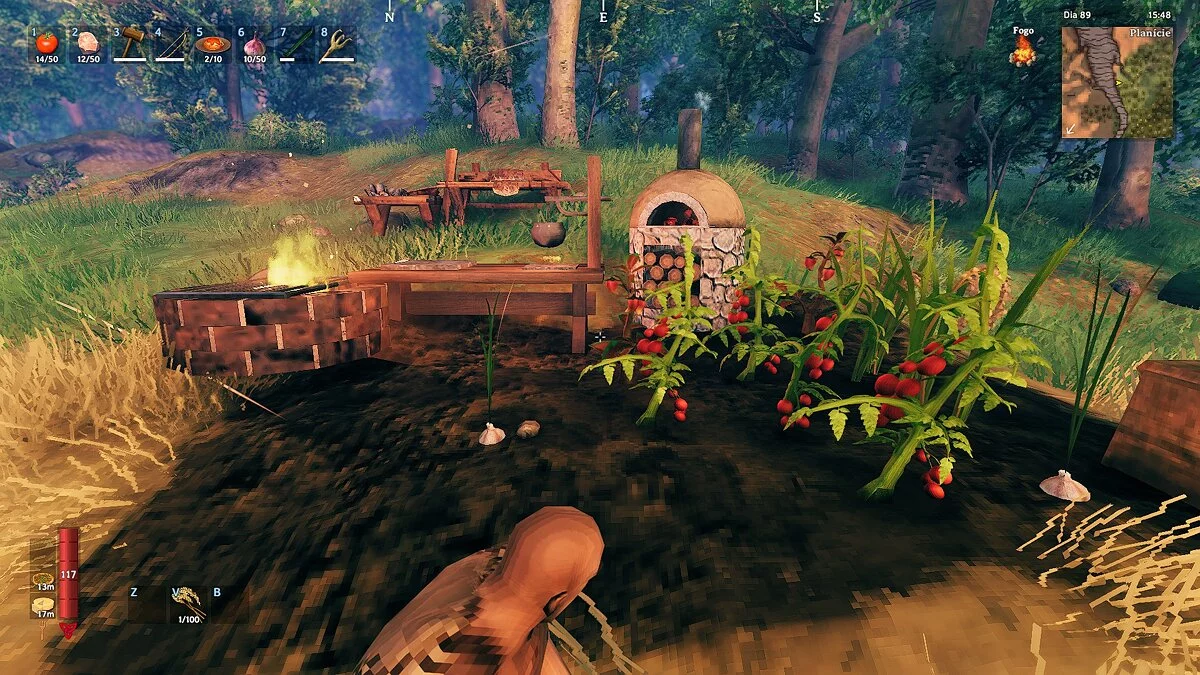 Valheim — New plants and food