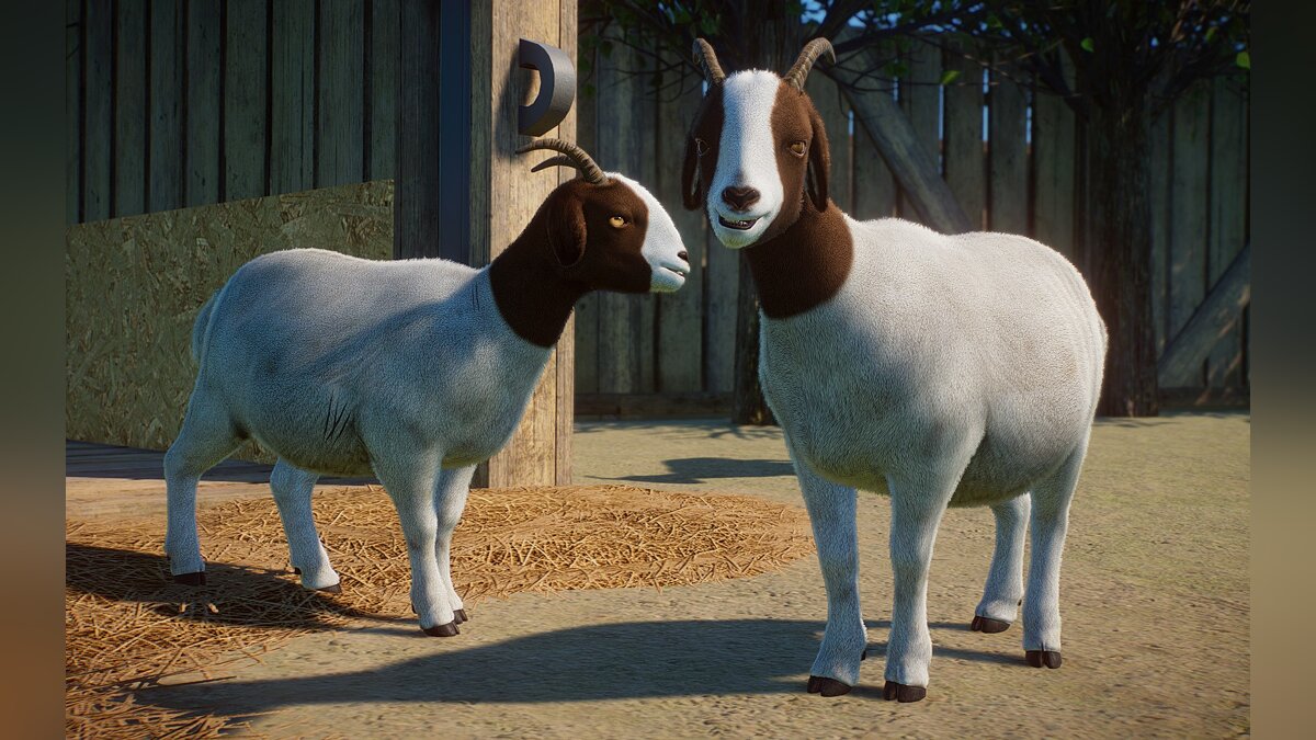 Planet Zoo — New species - Boer goat