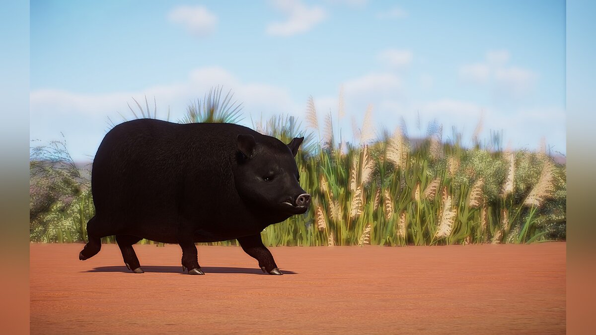 Planet Zoo — New species - American guinea pig