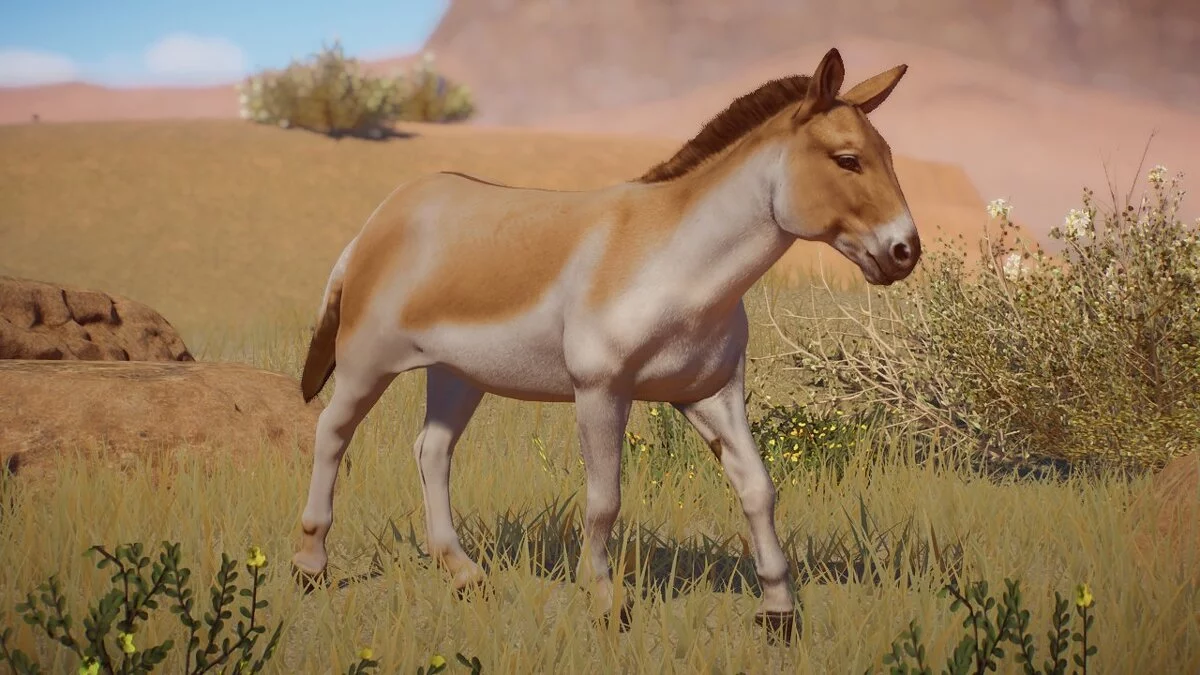 Planet Zoo — Kiang - Nueva especie