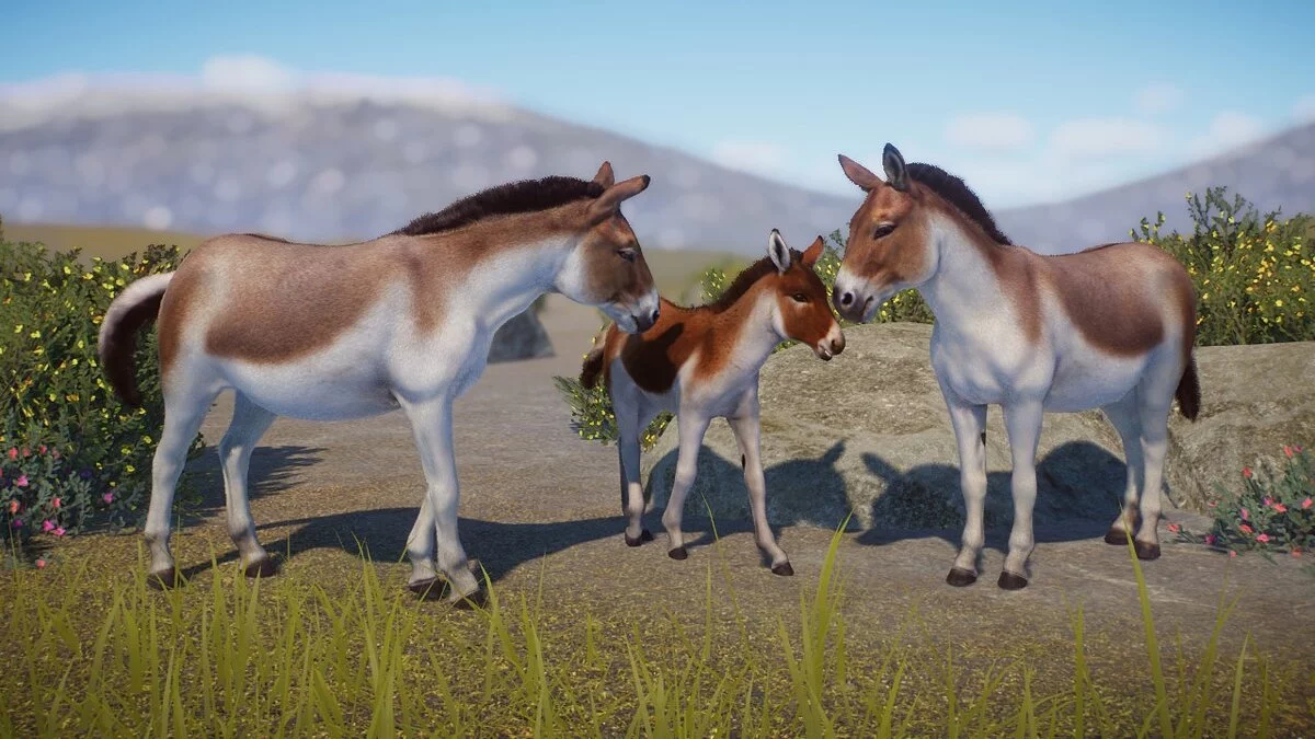 Planet Zoo — Кианг - Новые виды