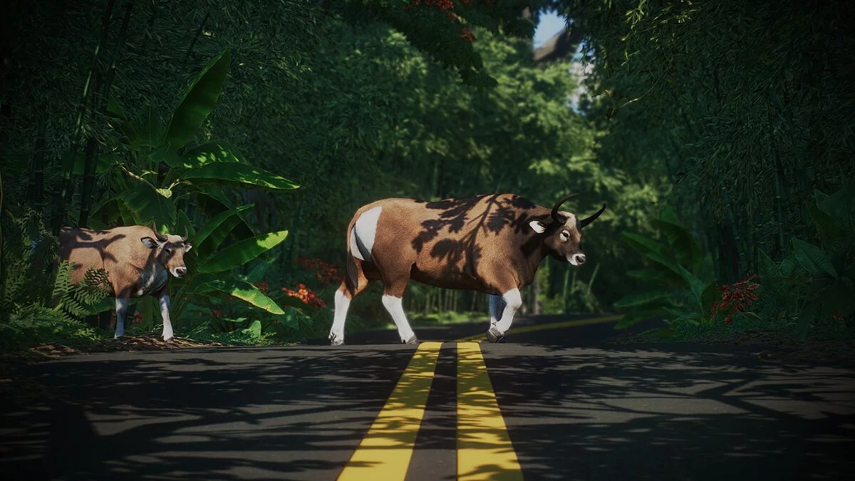 Planet Zoo — Новые виды - индокитайский бантенг