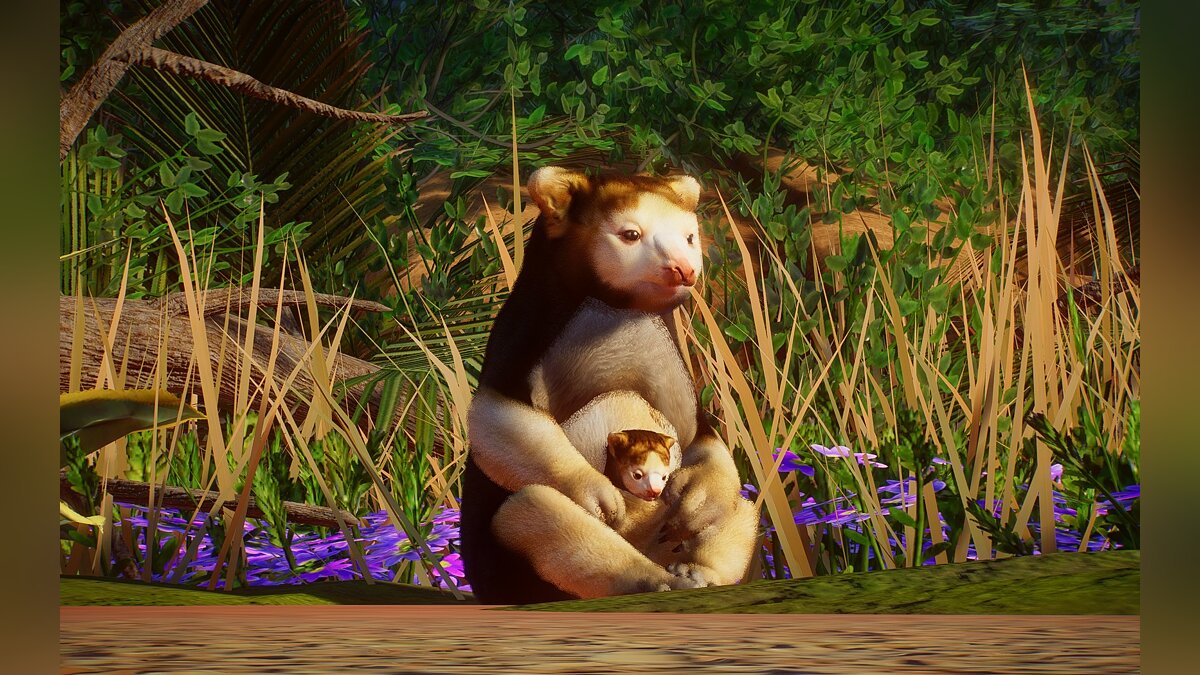 Planet Zoo — New Species - Tree Kangaroo Matches