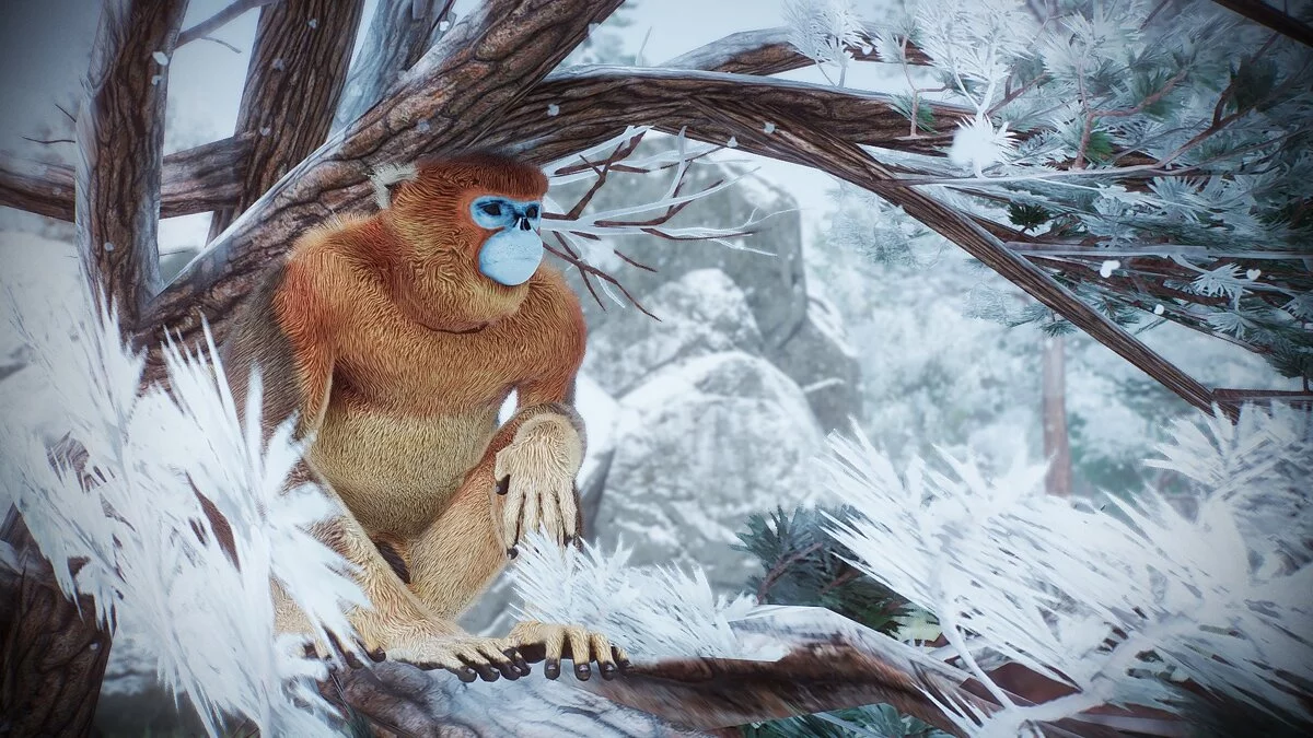 Planet Zoo — Нові види - золота кирпата мавпа