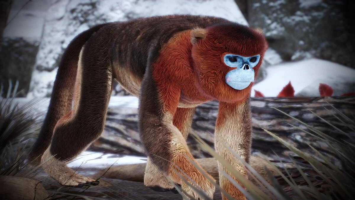 Planet Zoo — New species - golden snub-nosed monkey