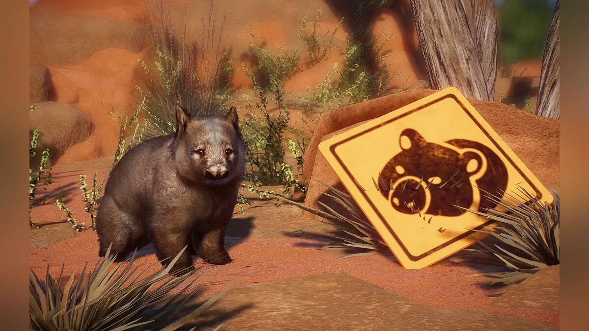 Planet Zoo — Новые виды - южный мохнатый вомбат