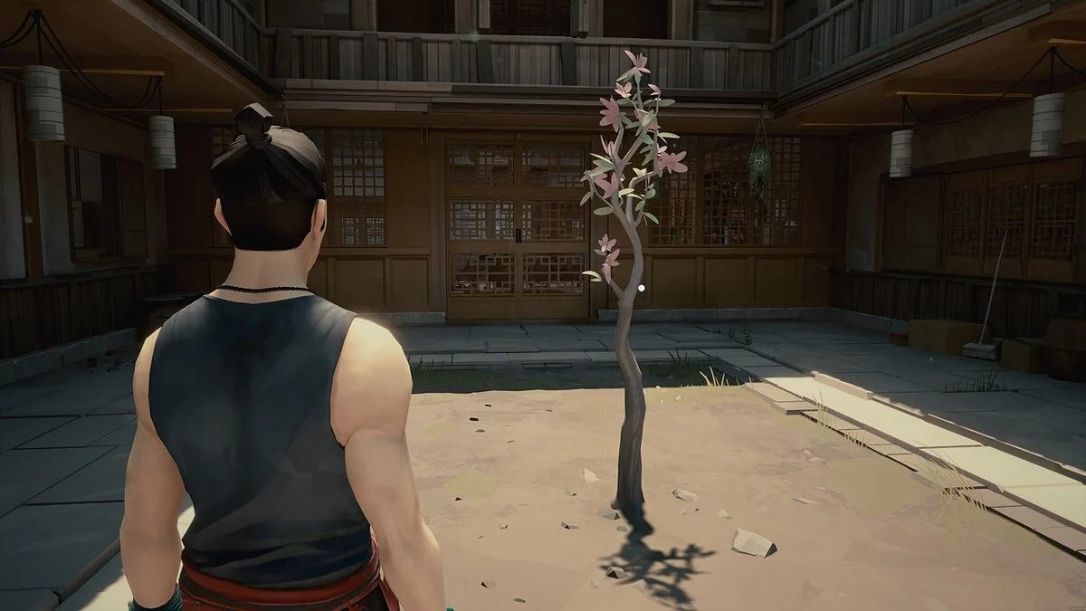 Sifu — Больше деталей и красок