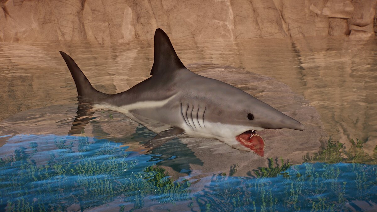 Planet Zoo — New species - Helicoprion