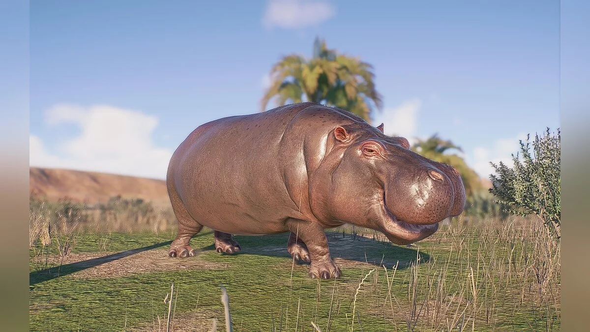 Jurassic World Evolution 2 — Hippopotamus - replacement of evoplocephalus