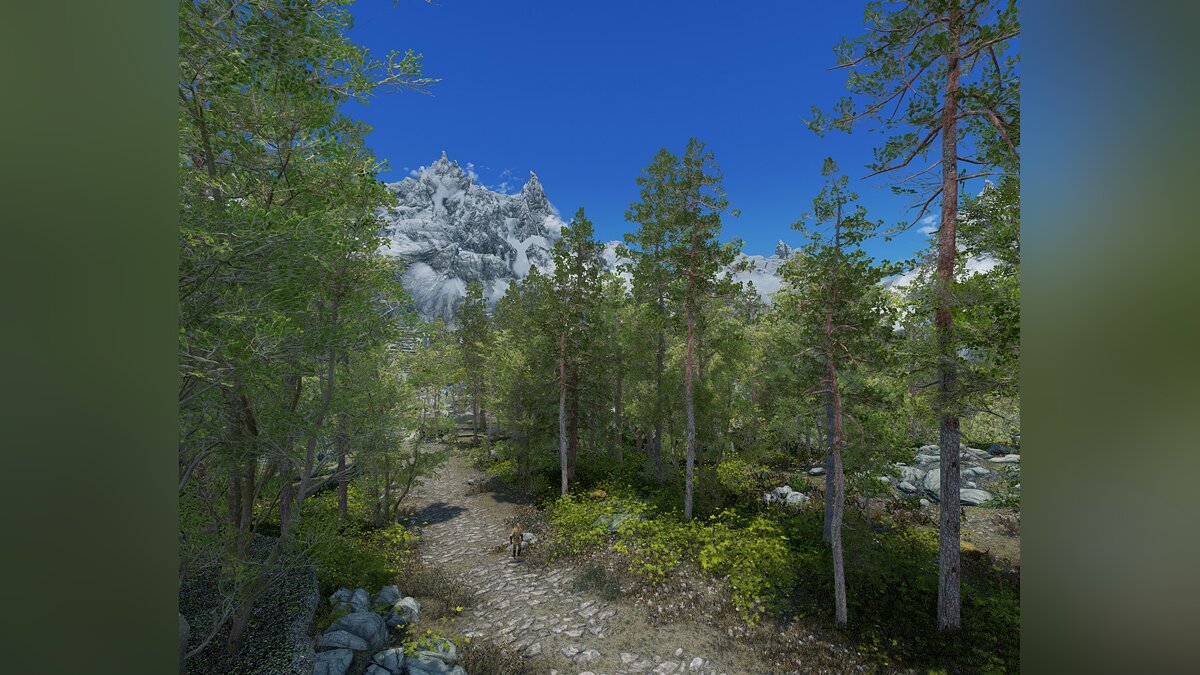 The Elder Scrolls 5: Skyrim Legendary Edition — Photorealistic grass with complex geometry