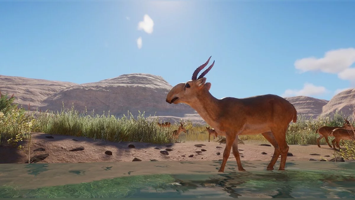 Planet Zoo — Новый вид - сайга татарская