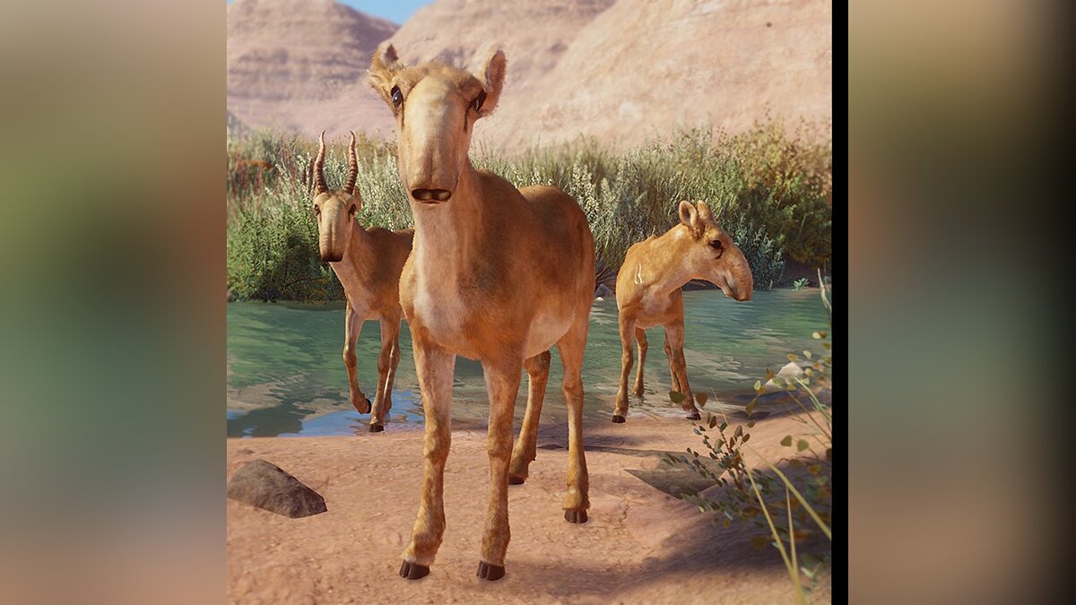 Planet Zoo — A new species is the Tatar saiga