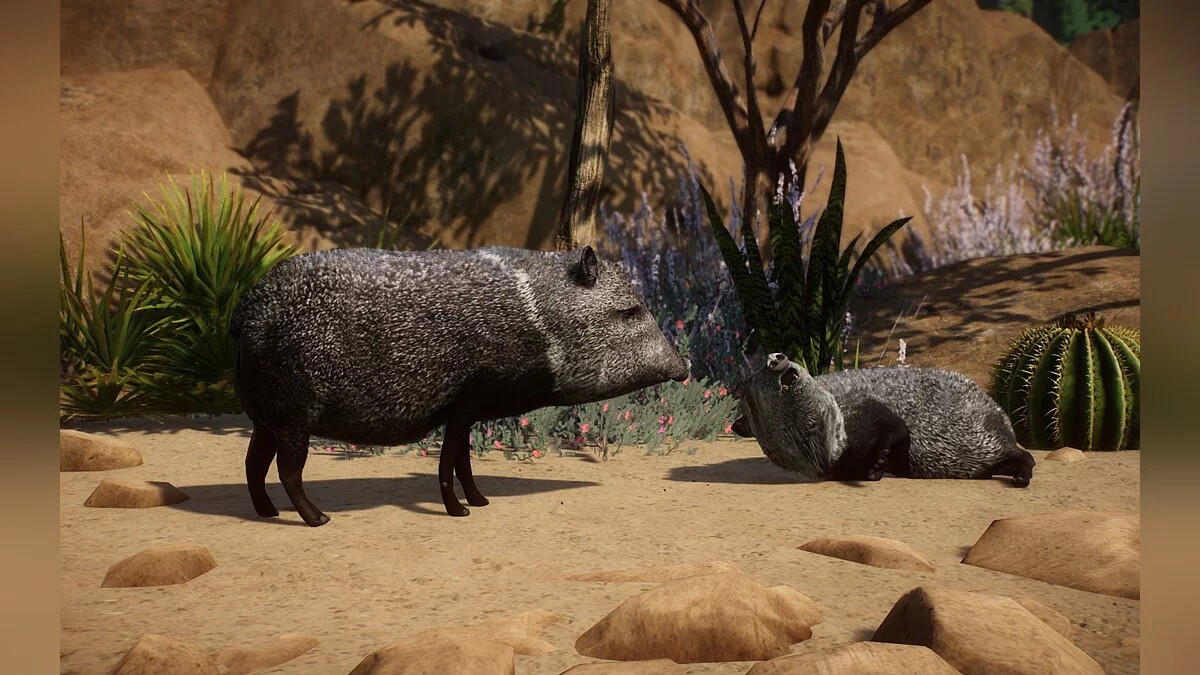 Planet Zoo — New species - collared peccaries