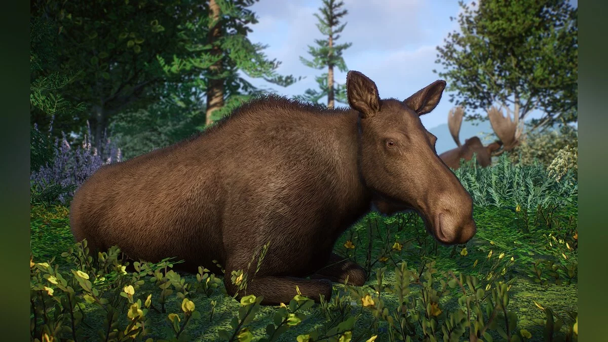 Planet Zoo — Новые виды - евразийский лось (европейский лось)