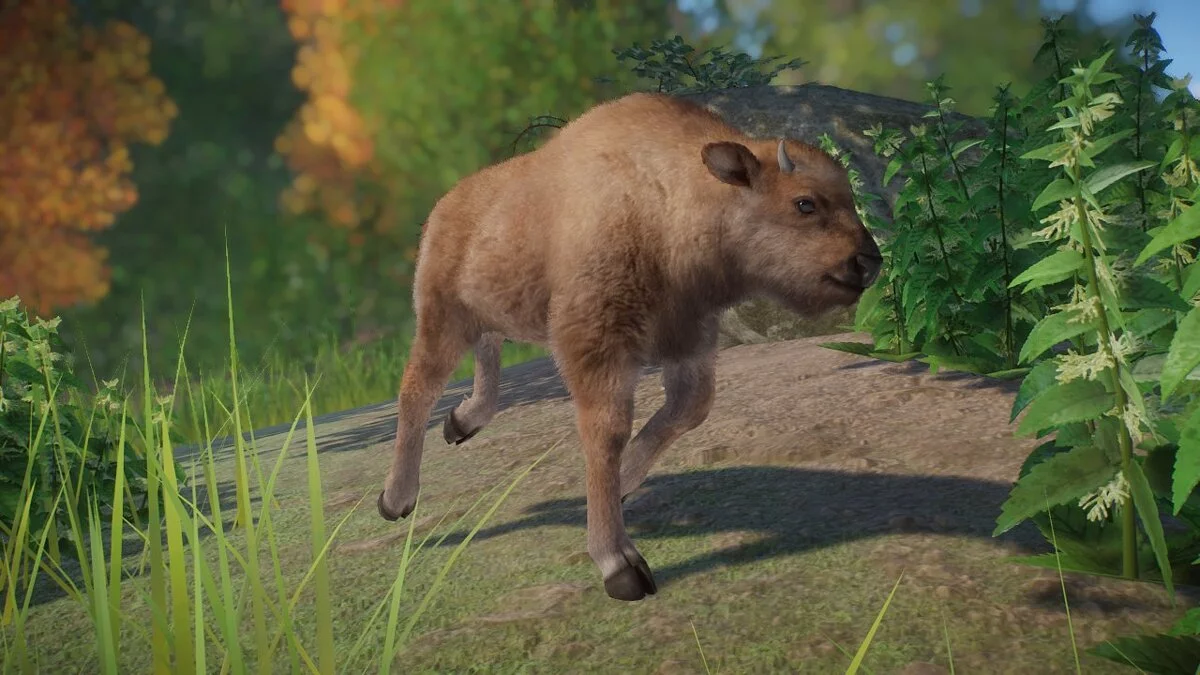 Planet Zoo — Зубр (європейський бізон) – новий вид