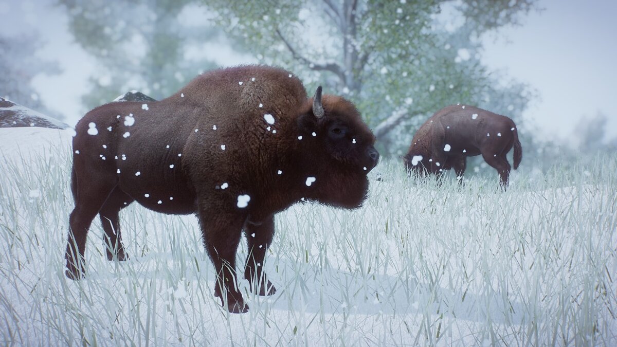 Planet Zoo — Bison (European bison) - a new species