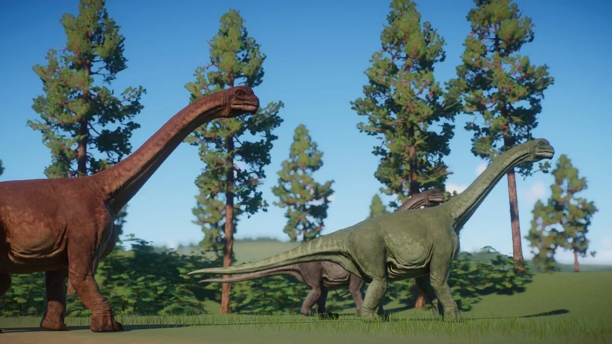 Planet Zoo — New species - Camarasaurus