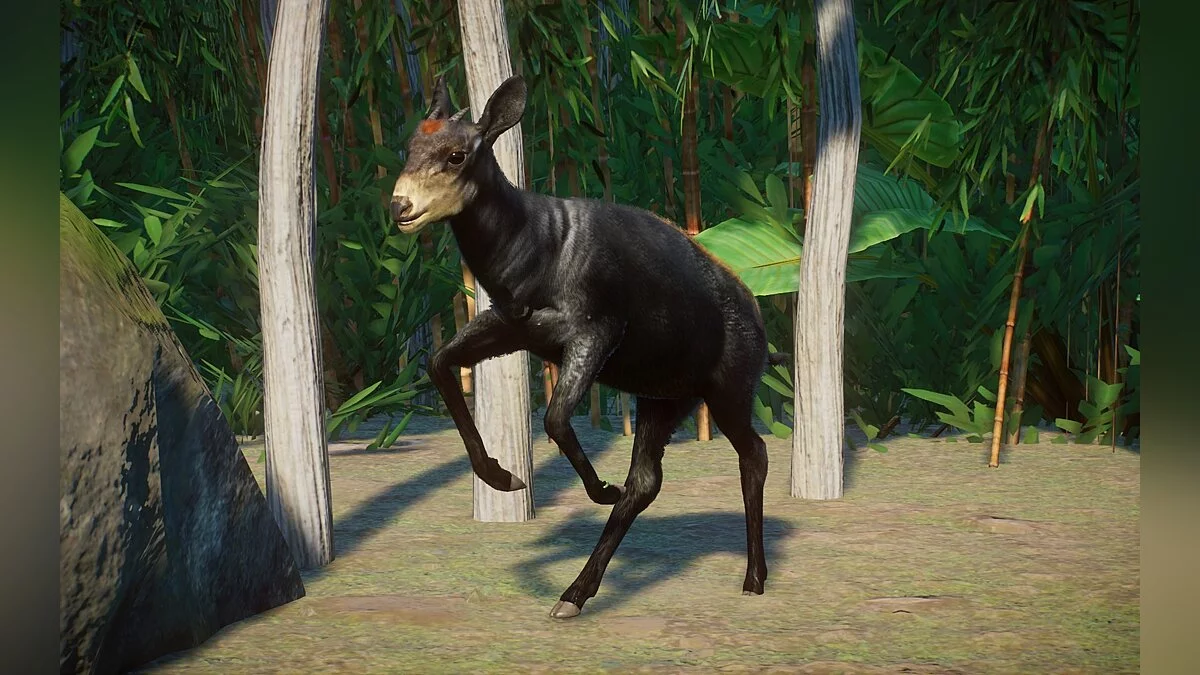 Planet Zoo — Новый вид – желтоспинный дукер