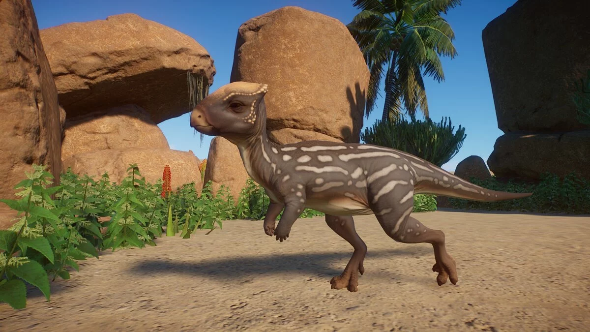 Planet Zoo — Nueva especie - homalocephalus