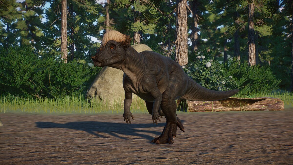 Planet Zoo — New species - pachycephalosaurs