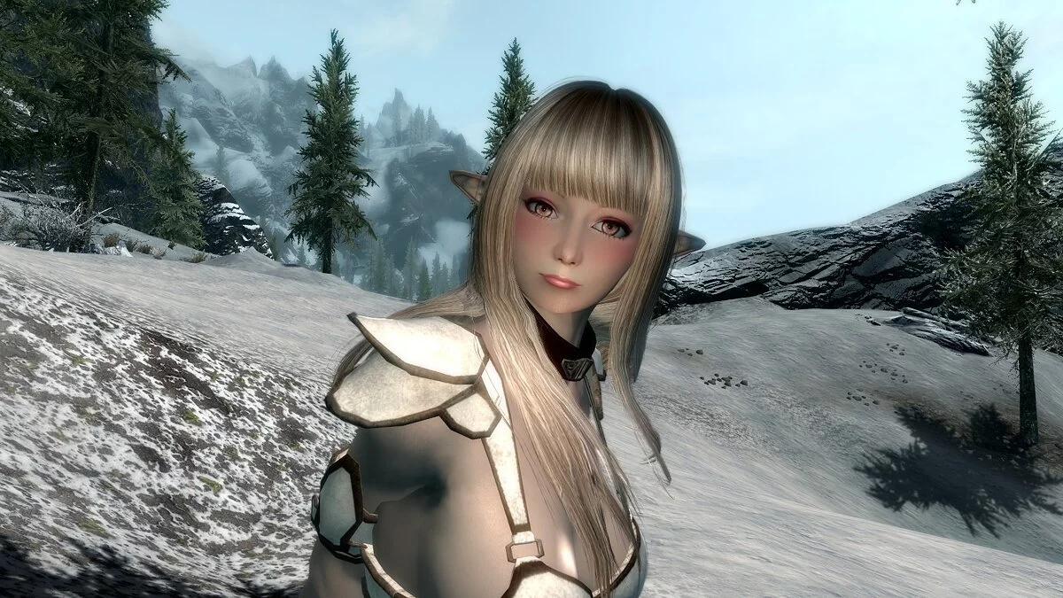 The Elder Scrolls 5: Skyrim Legendary Edition — Snow elf preset