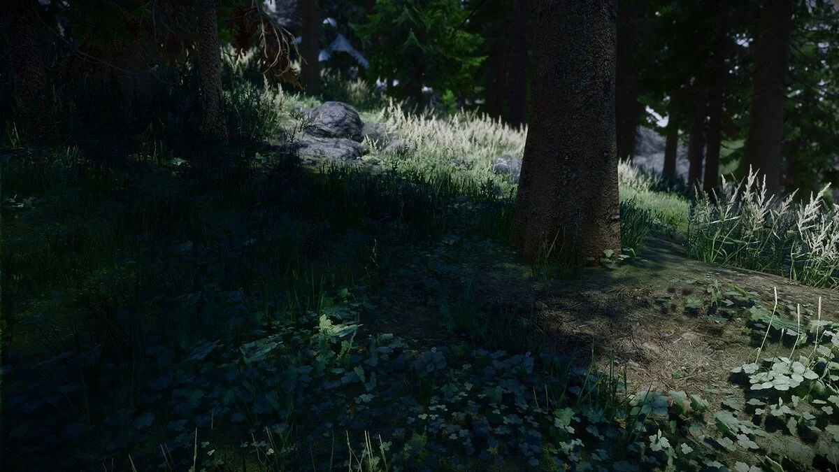 Elder Scrolls 5: Skyrim Special Edition — Нордлис ENB