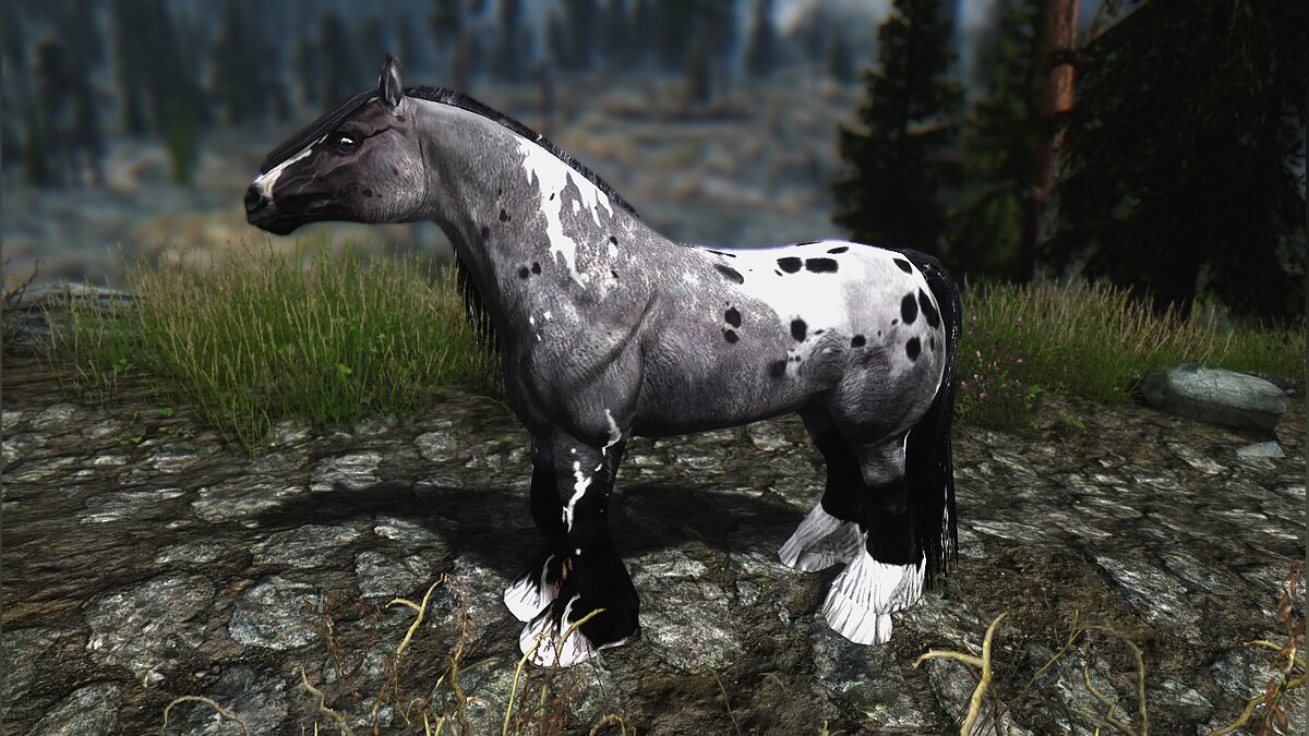 Elder Scrolls 5: Skyrim Special Edition — Horse substitute