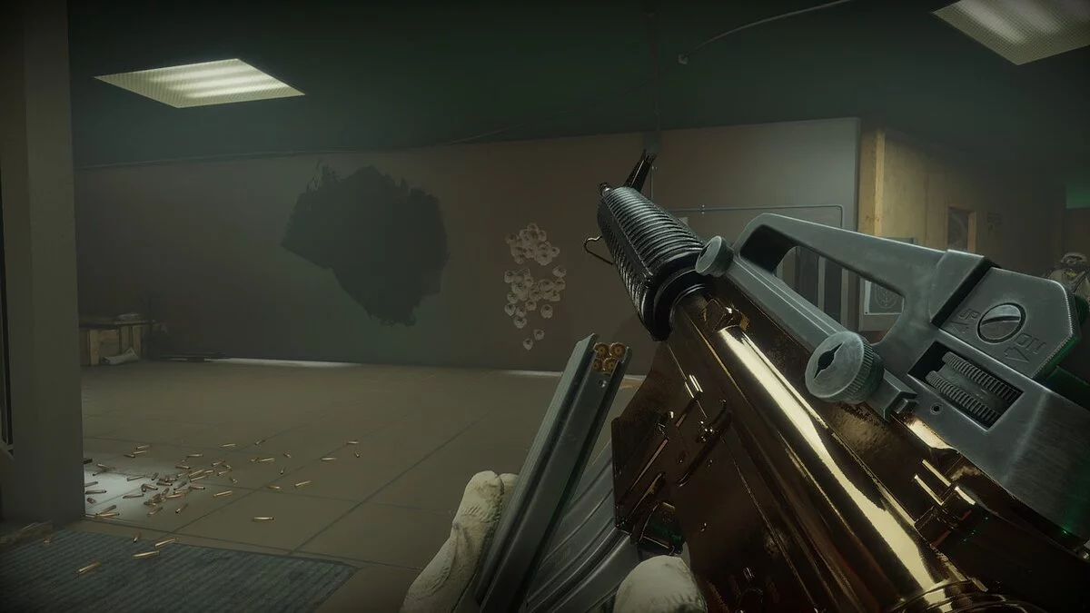 Ready or Not — Золотой M16A4