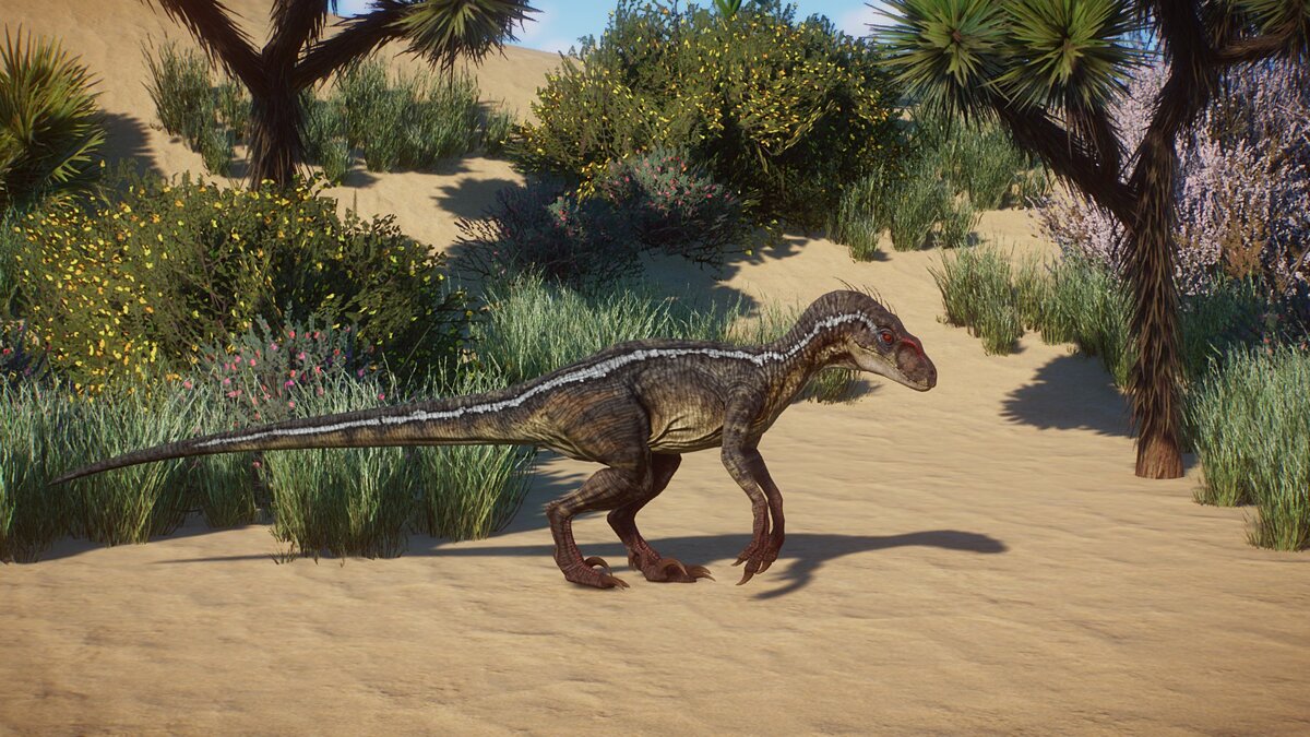 Planet Zoo — New species - Velociraptor