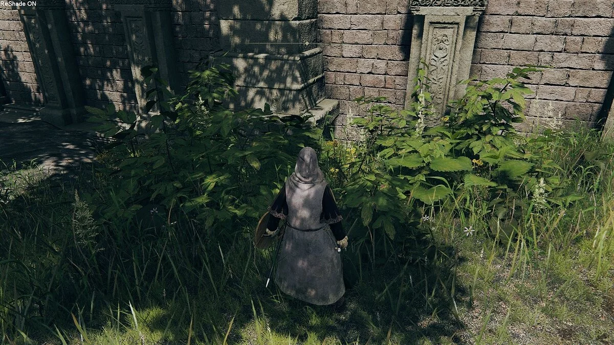 Elden Ring — Коррекция цветов